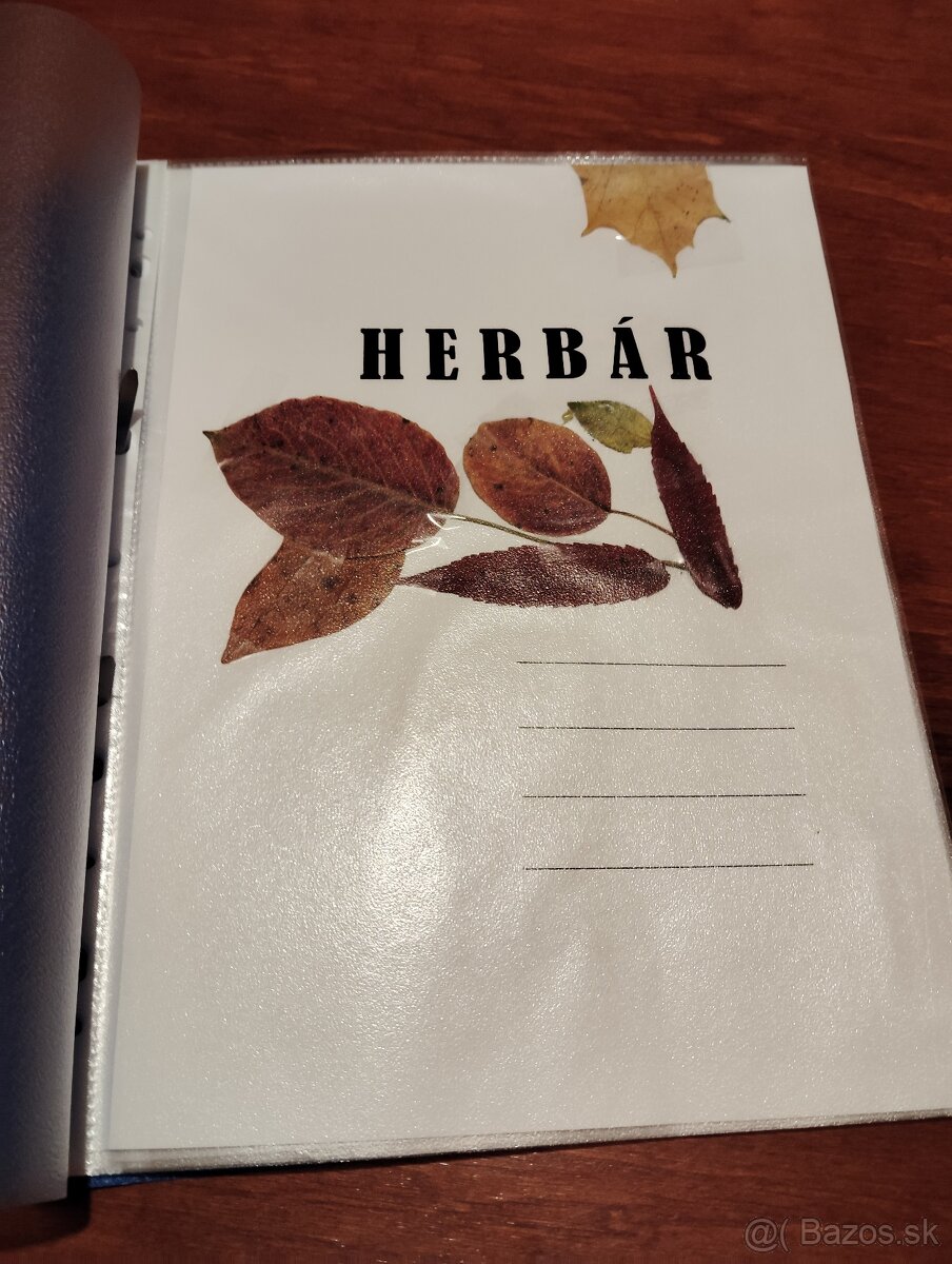 Školský herbár jesenných listov (ovocné,lesné, okrasné)