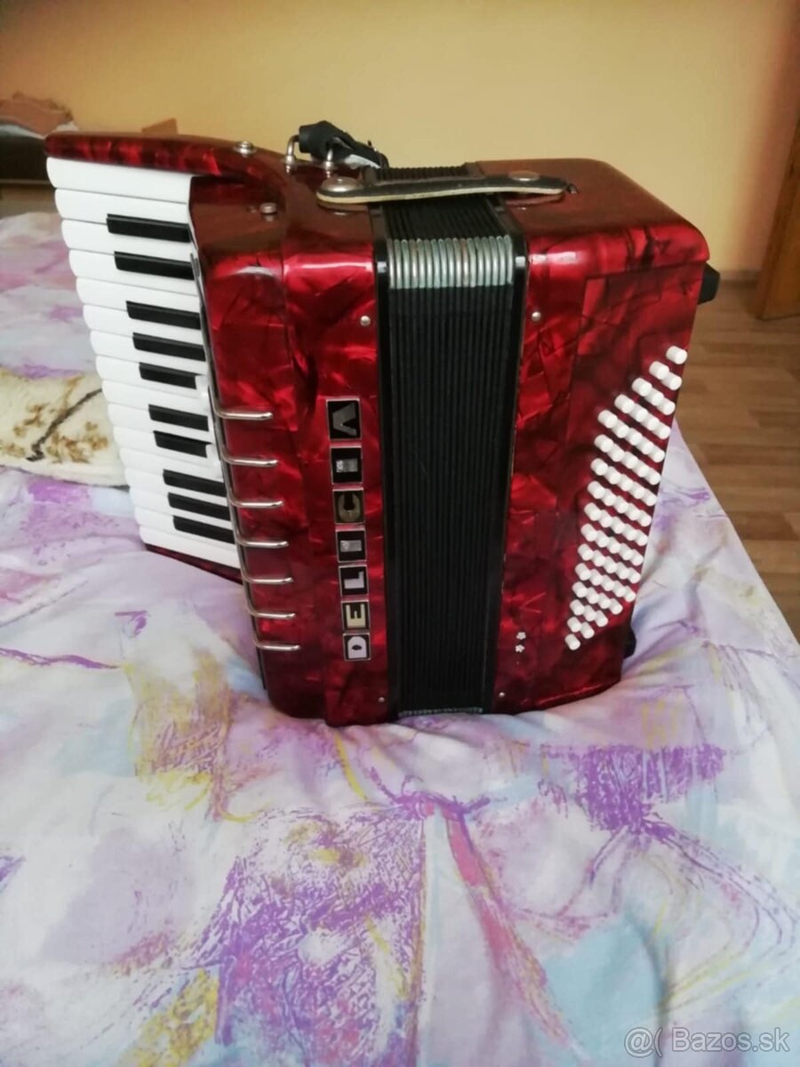 Harmonika - akordeon Delica Junior 60