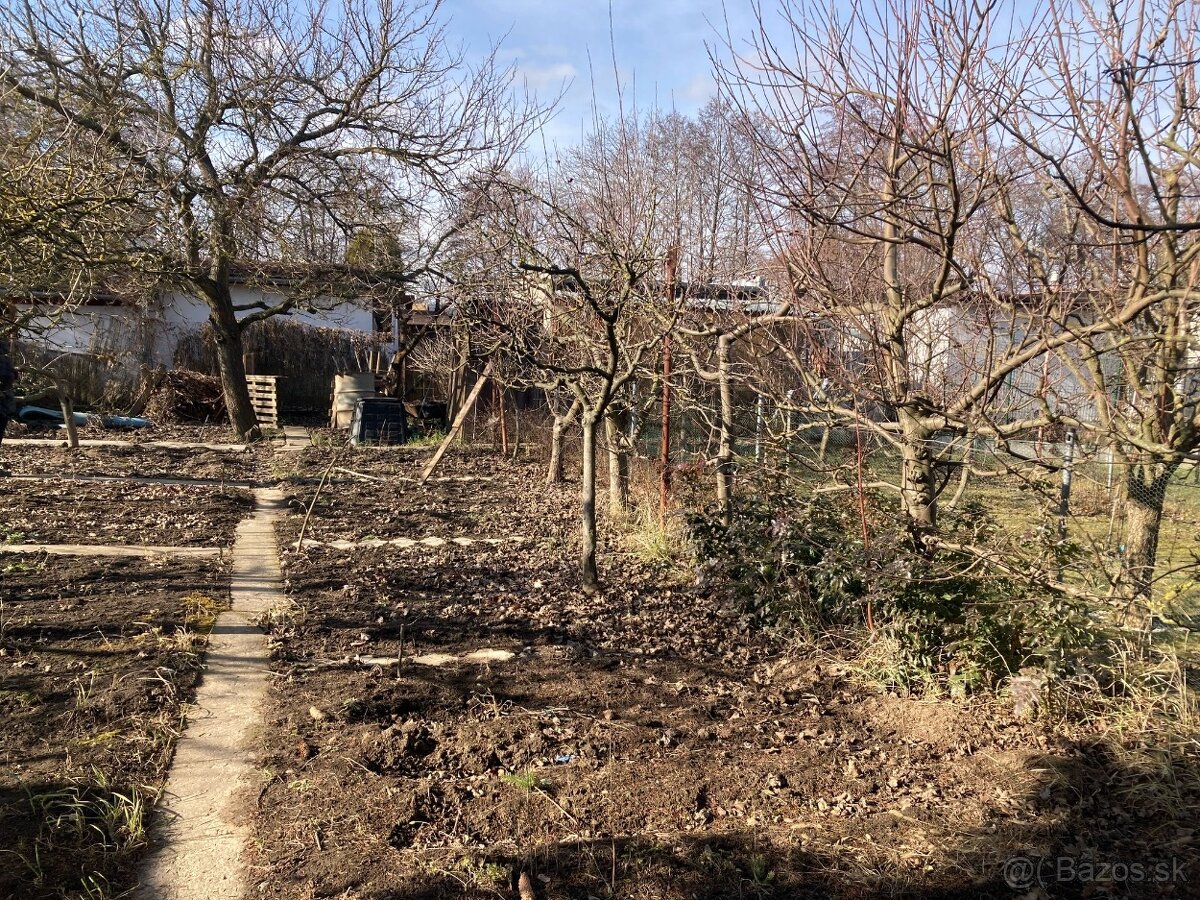 Predaj udržiavanej záhradky s ovocnými stromani-B. Kostol