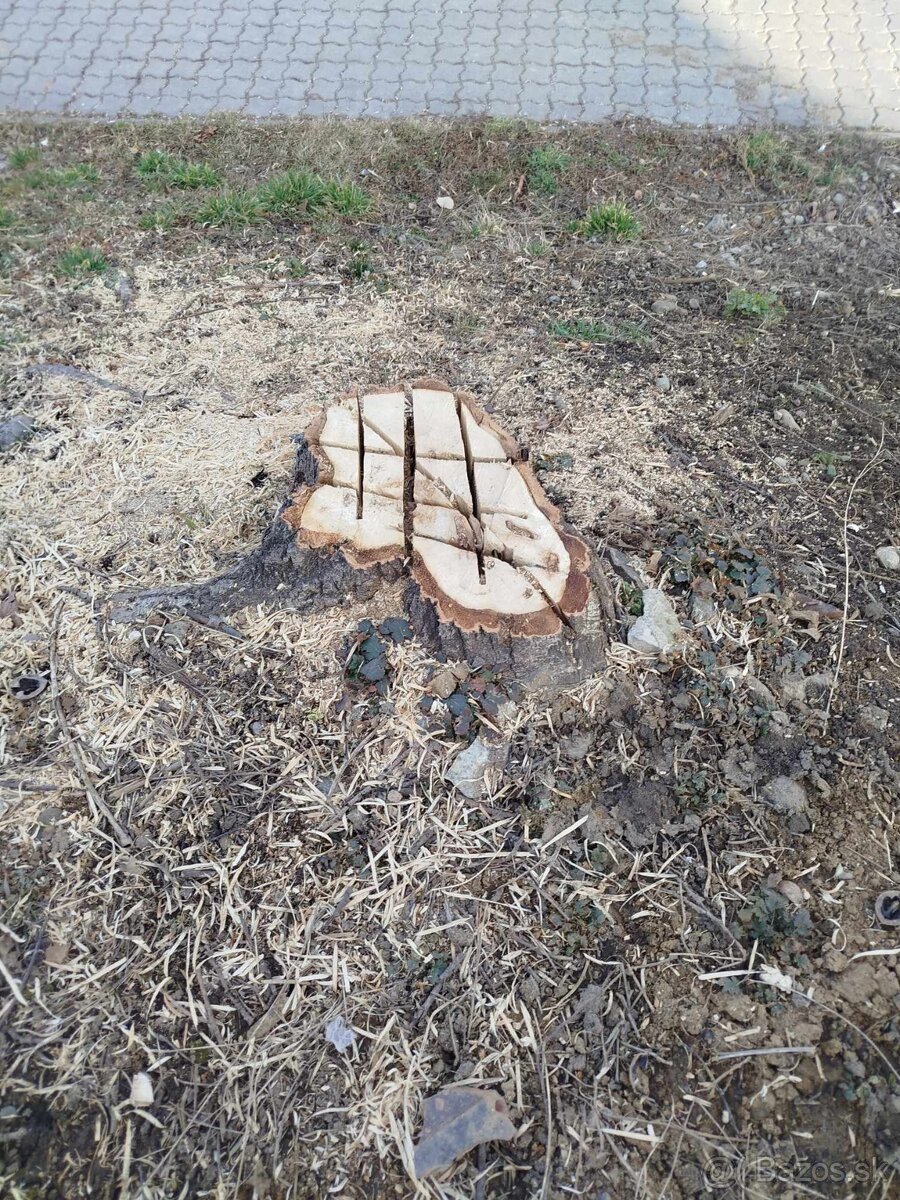 odstraňovanie pňov ,odvrtavanie pňov,