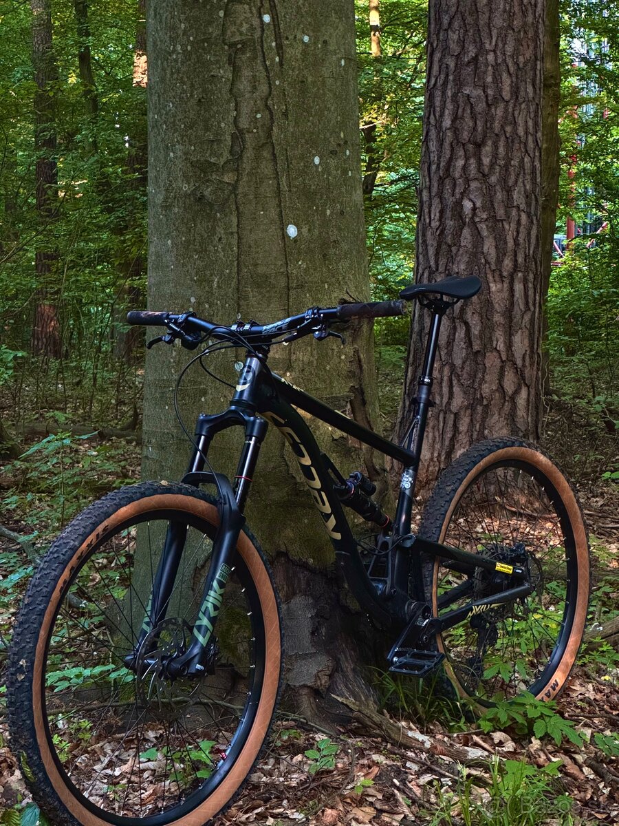 Custom Kellys Thorx 160/140mm