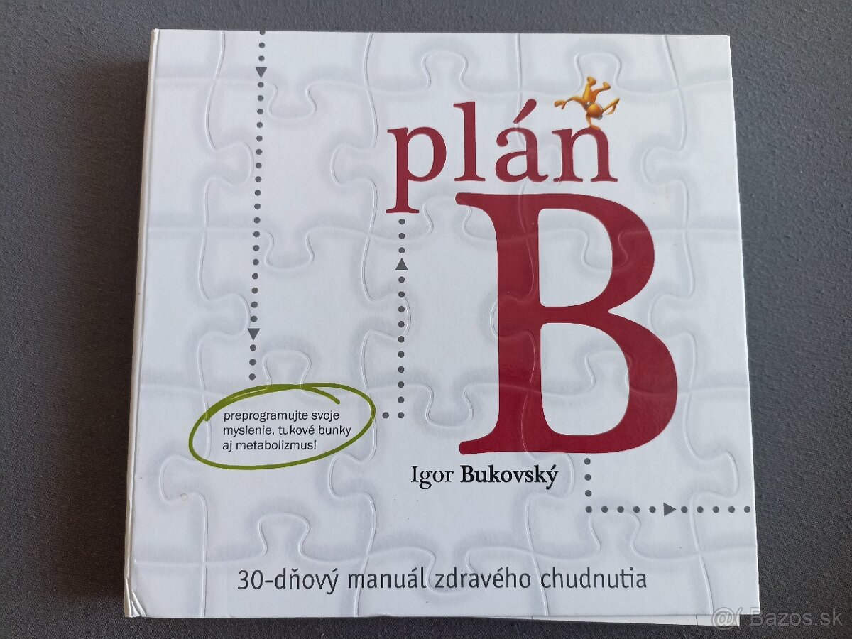 Plán B - Bukovský
