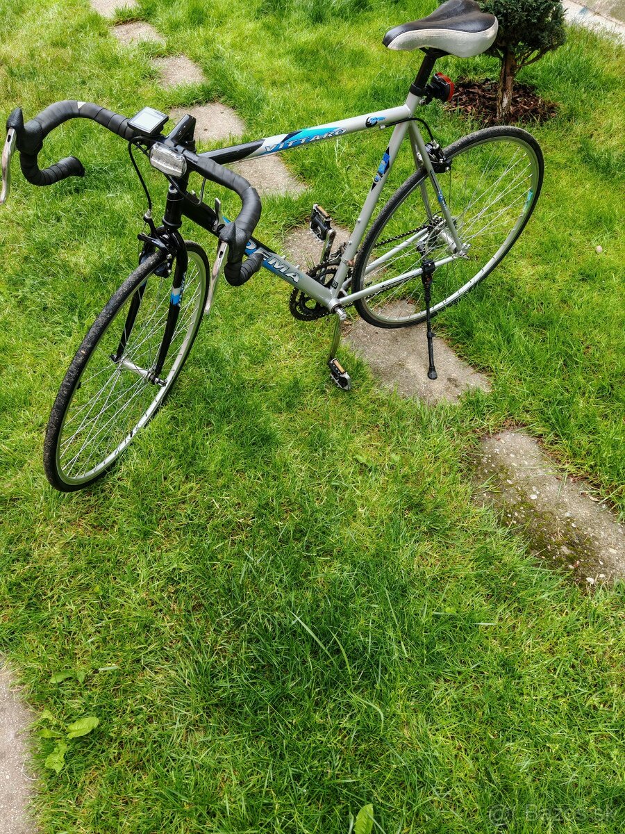 Cestný bicykel Dema