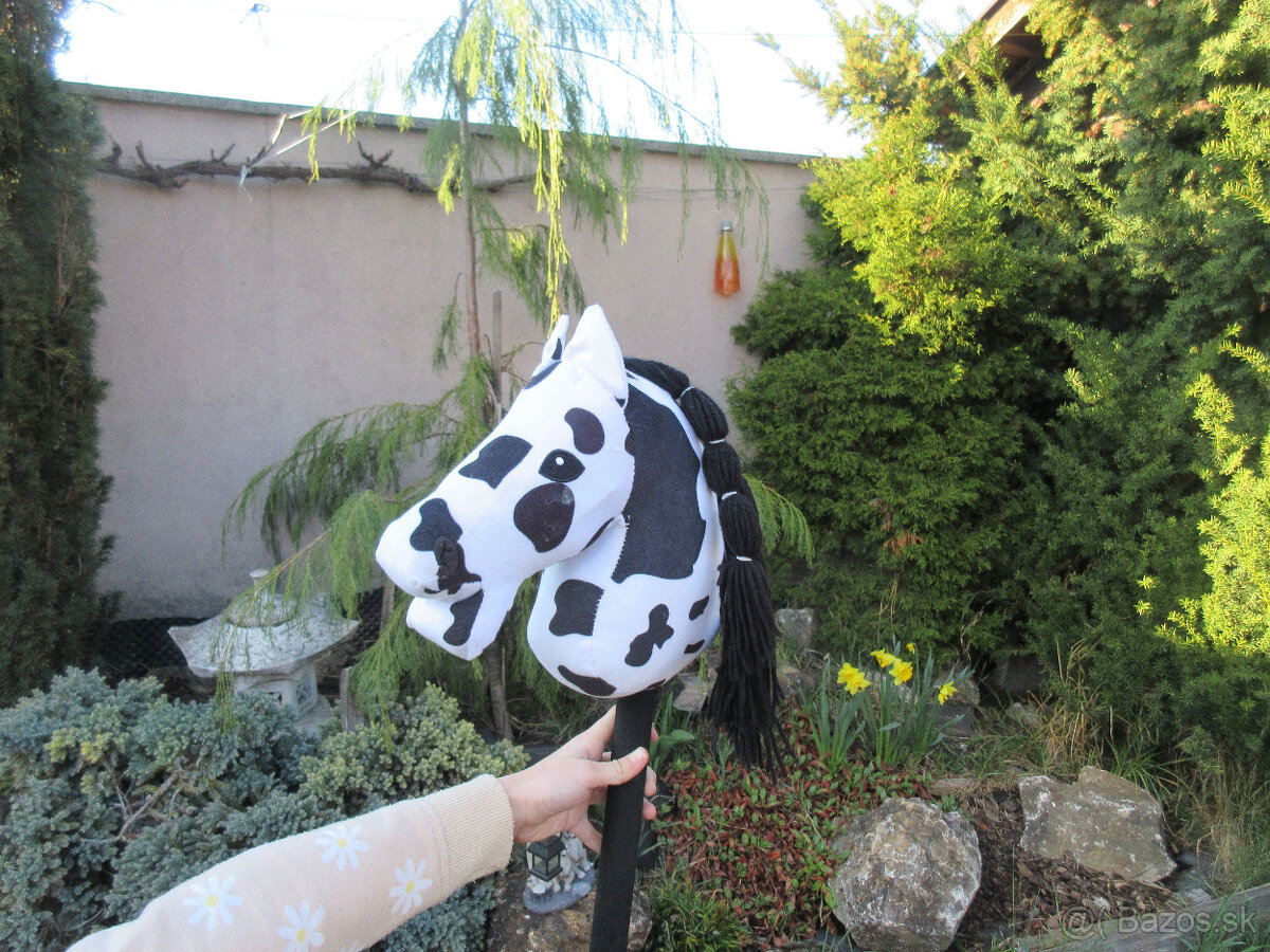 hobby horse