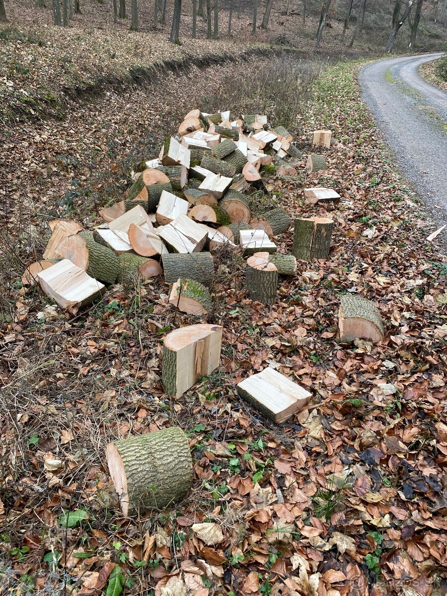 Palivové drevo