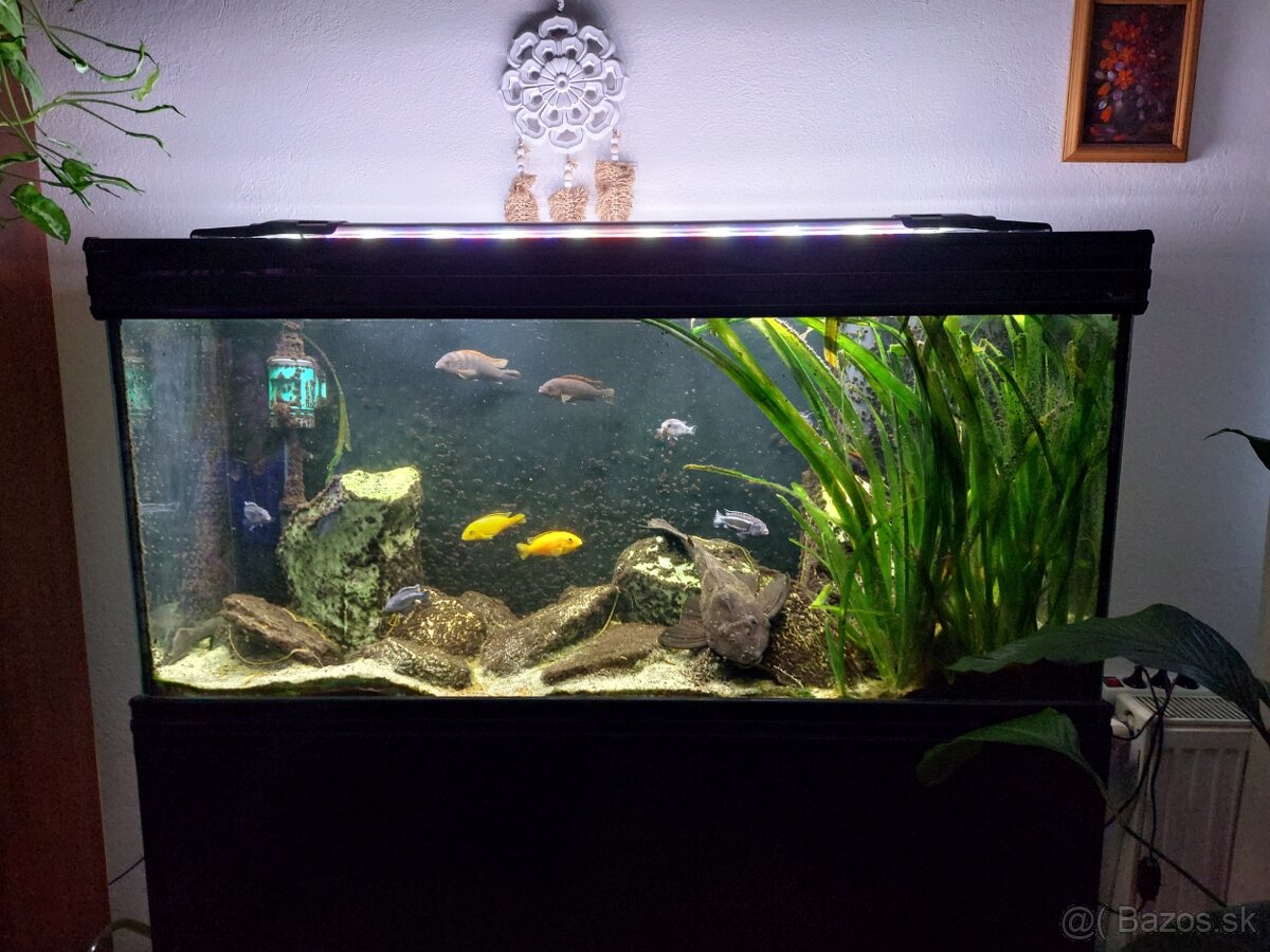 Akvarium