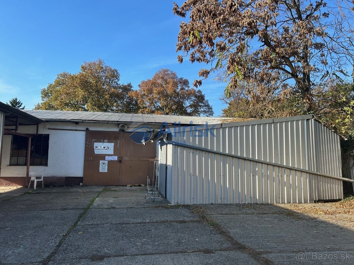 Obchodný alebo skladový priestor 171 m² do prenájmu, Šaľa