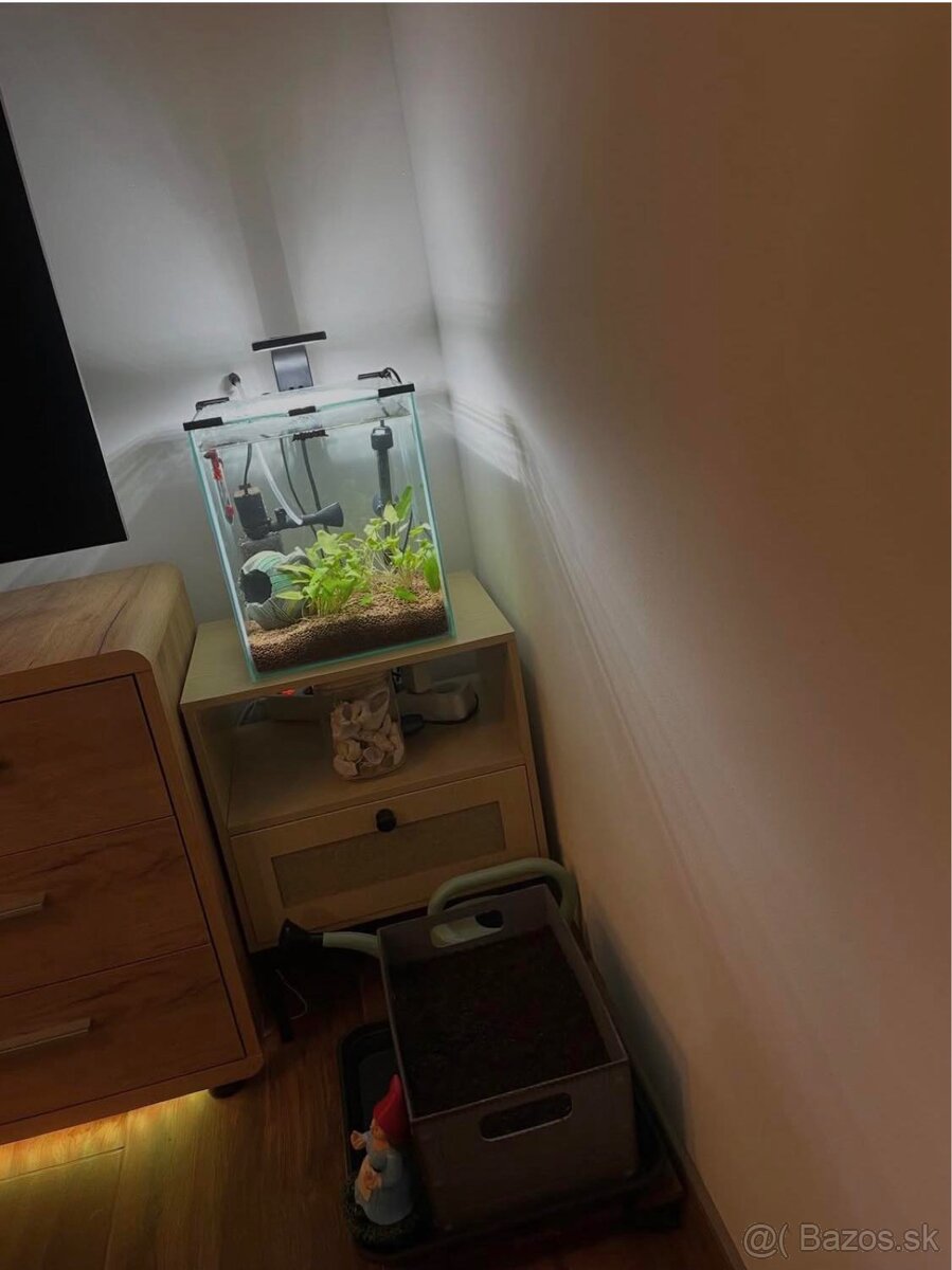 aquarium 19 litrov