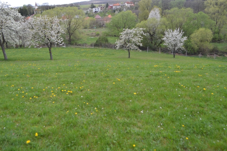 Na predaj záhrada na dva RD s vyhľadom na lesy