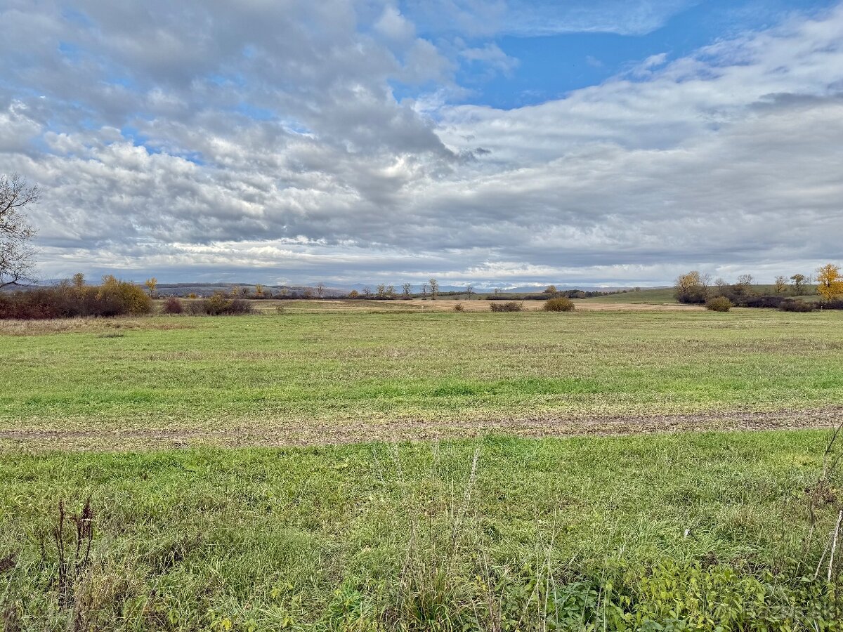 Predaj pozemok katastrálne územie Gemer 8689 m2