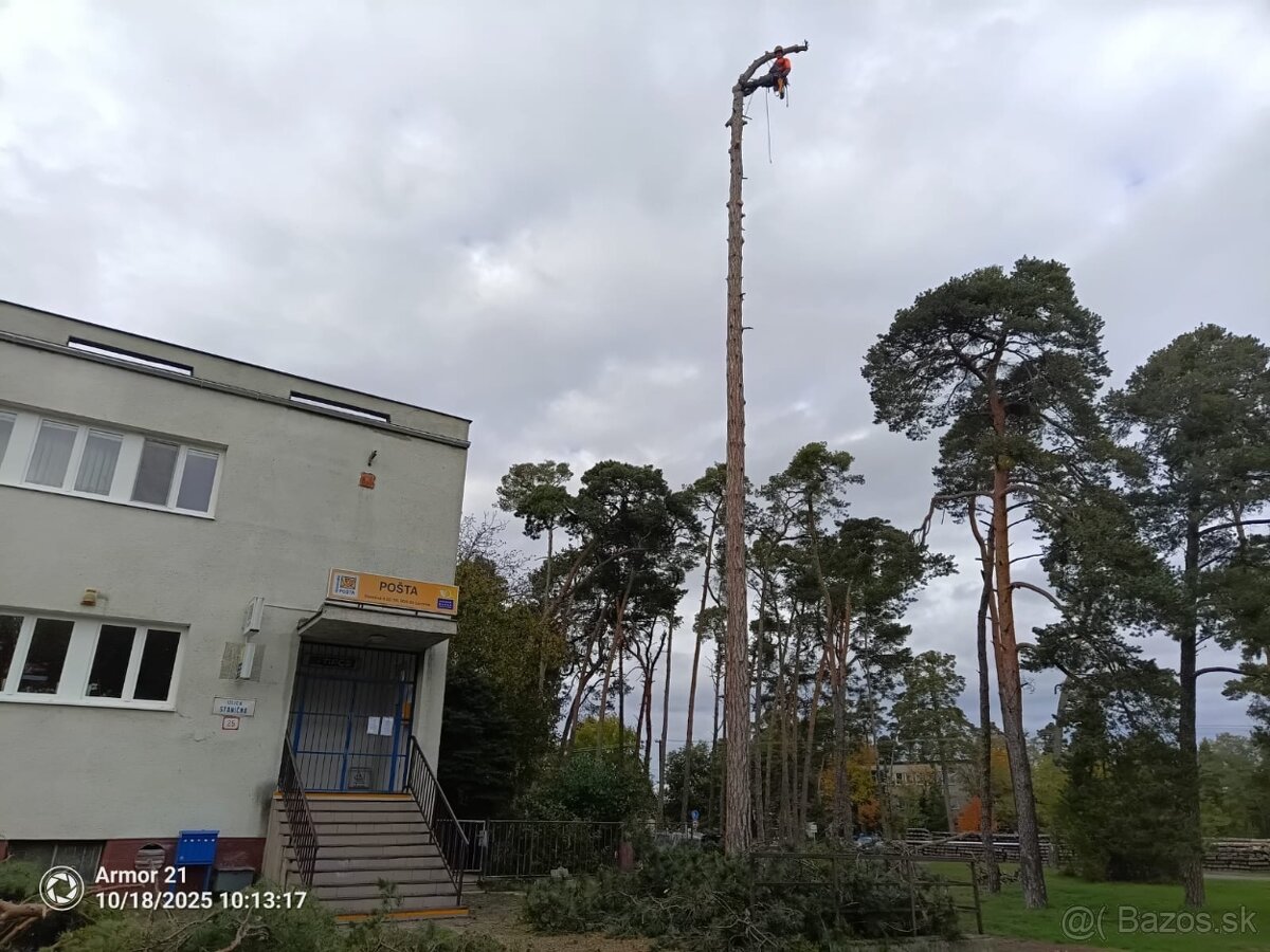 Arboristika, rizikové výruby a orezy stromov