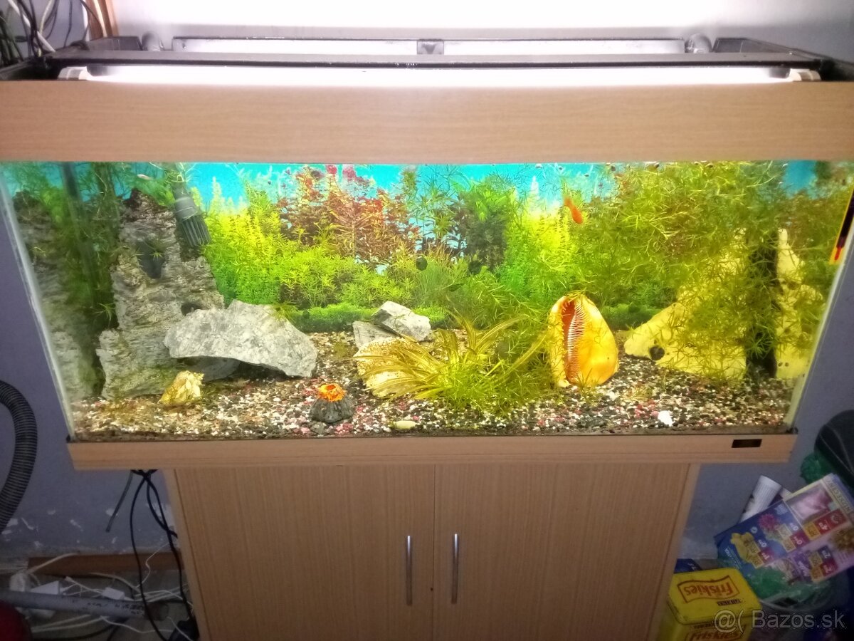 Akvárium