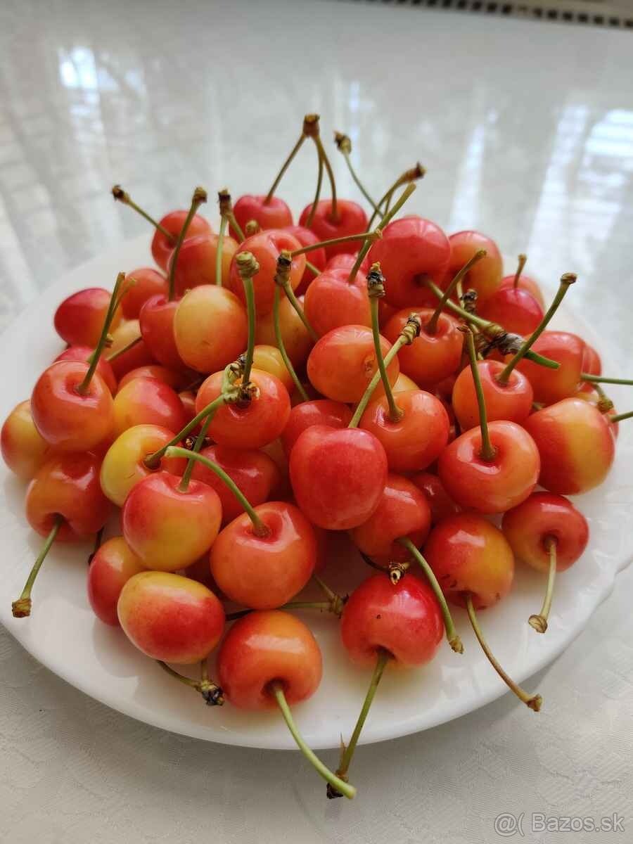 Predám čerstvo trhané čerešne