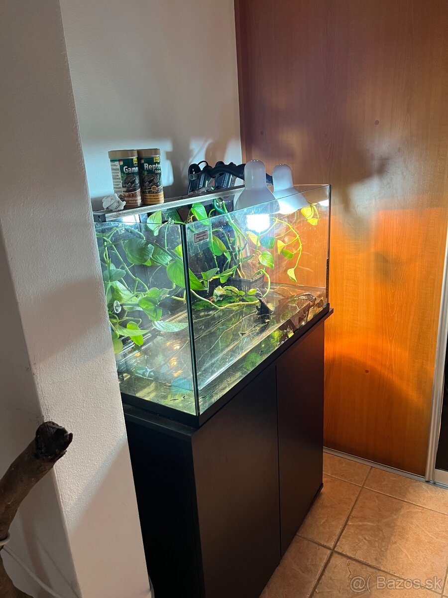 Vymenim kajmanku dravú