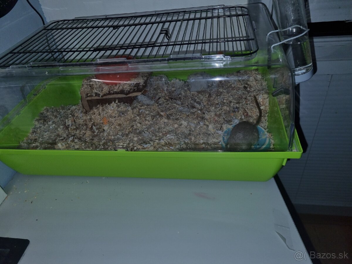 Klietka pre hlodavce