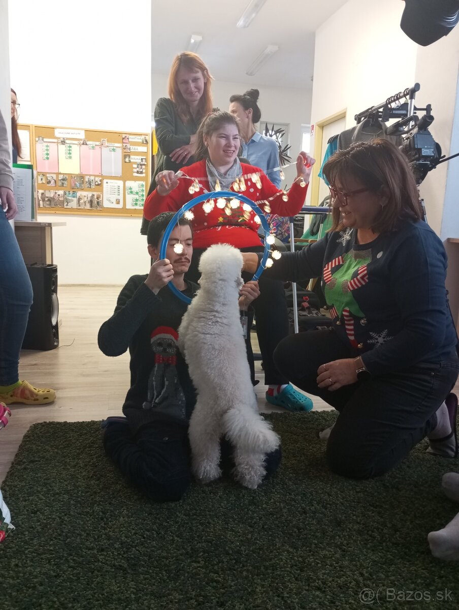 Práca v sociálnych službách