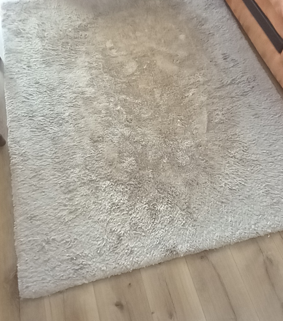 Koberec vysoký vlas