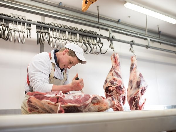 HĽADÁME MÄSIAROV DO ŠVAJČIARSKA