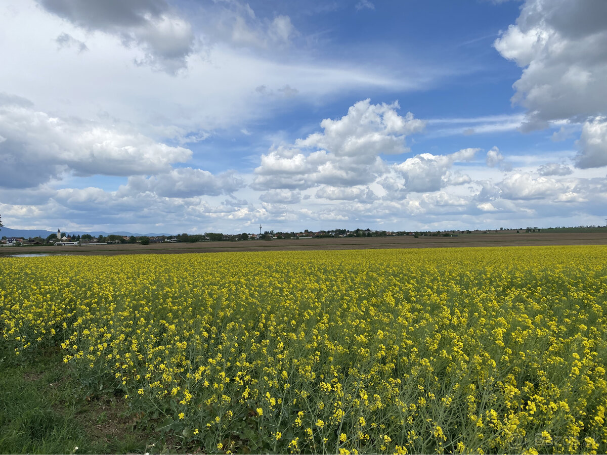 Pozemky v krásnom prostredí v Bernolákove za priaznivú cenu