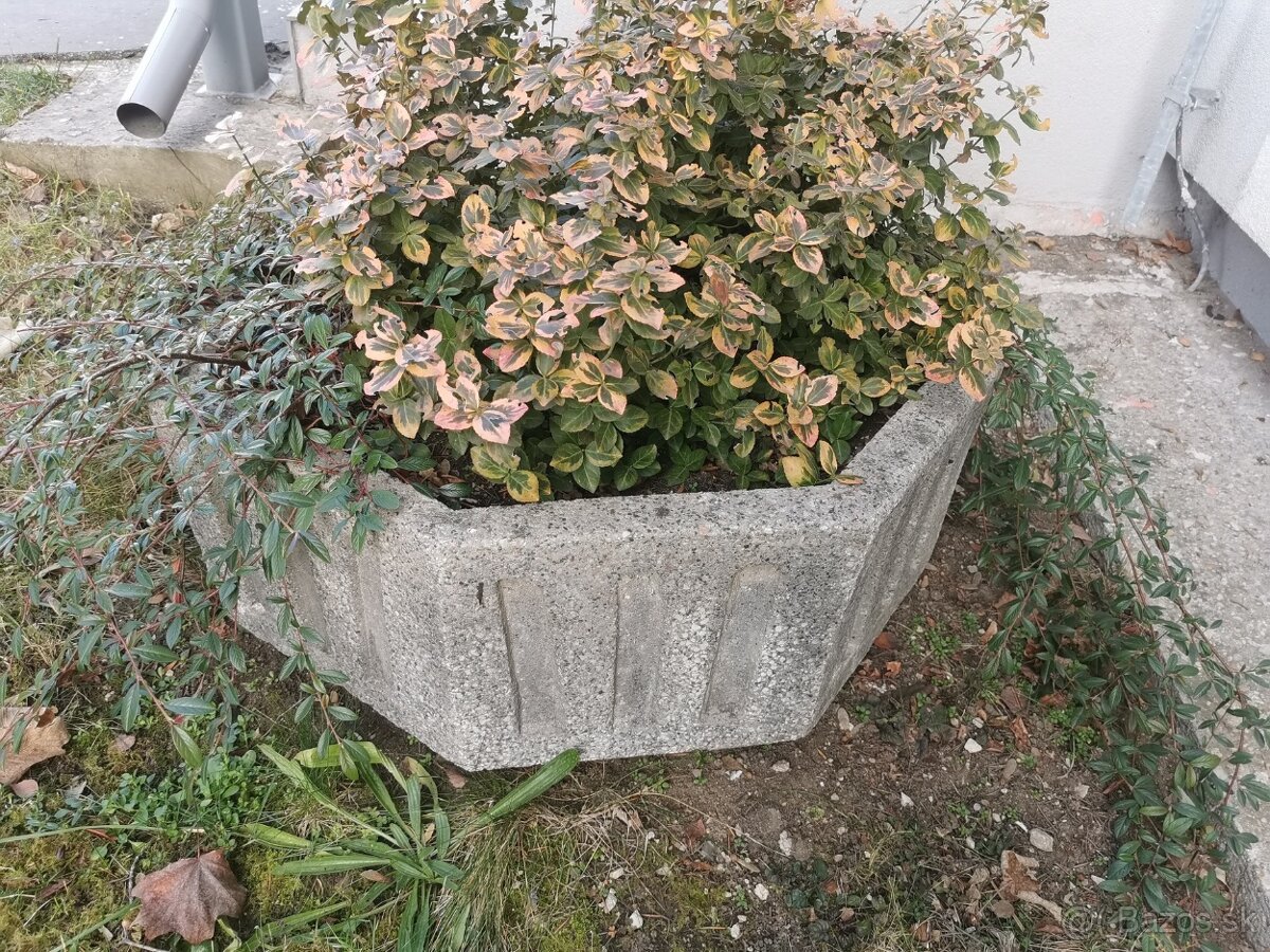 Kamenny kvetinač