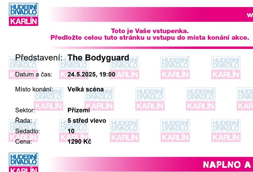 Bodyguard - muzikál