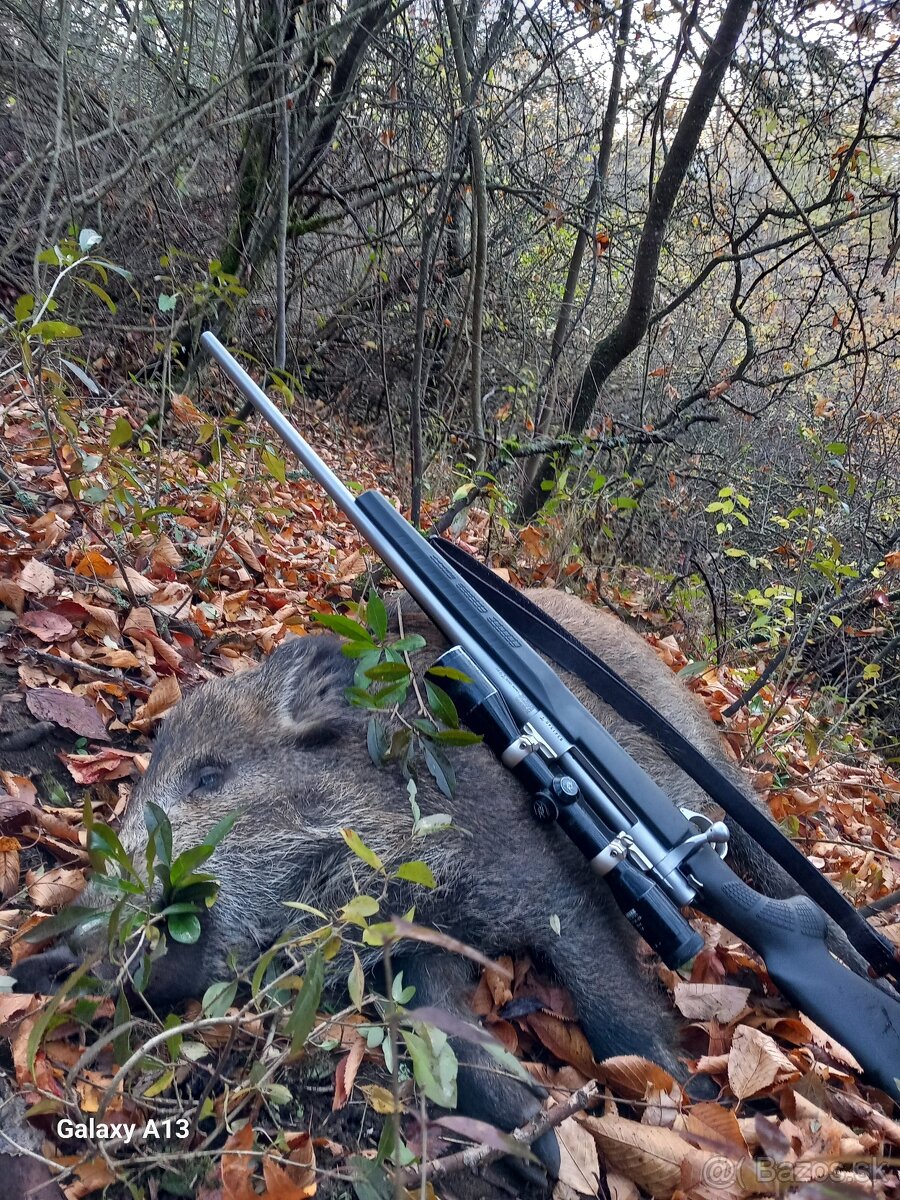 Gulovnica stainless steel 30.06 Springfield