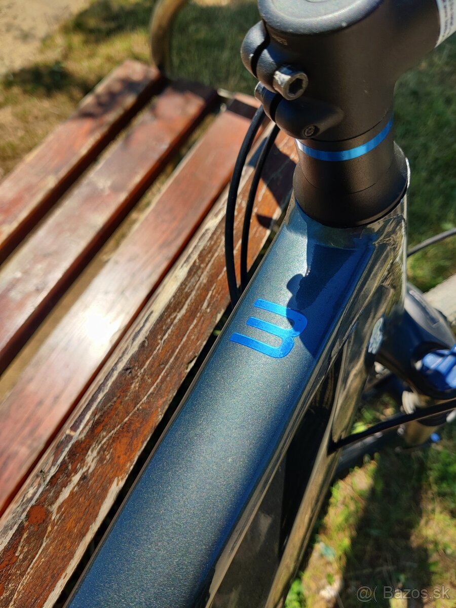 Trek dual sport 3