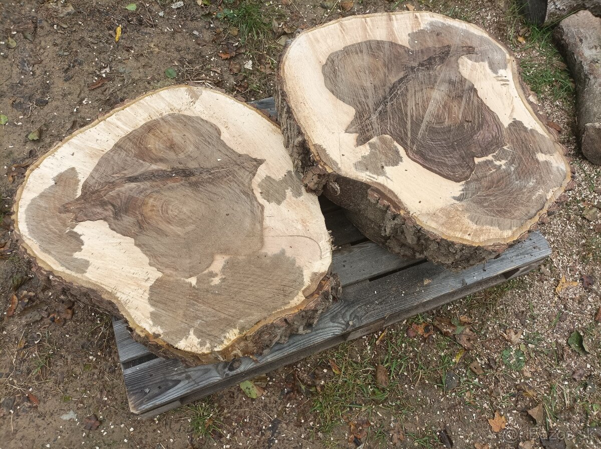 Orechové  dubové koláče