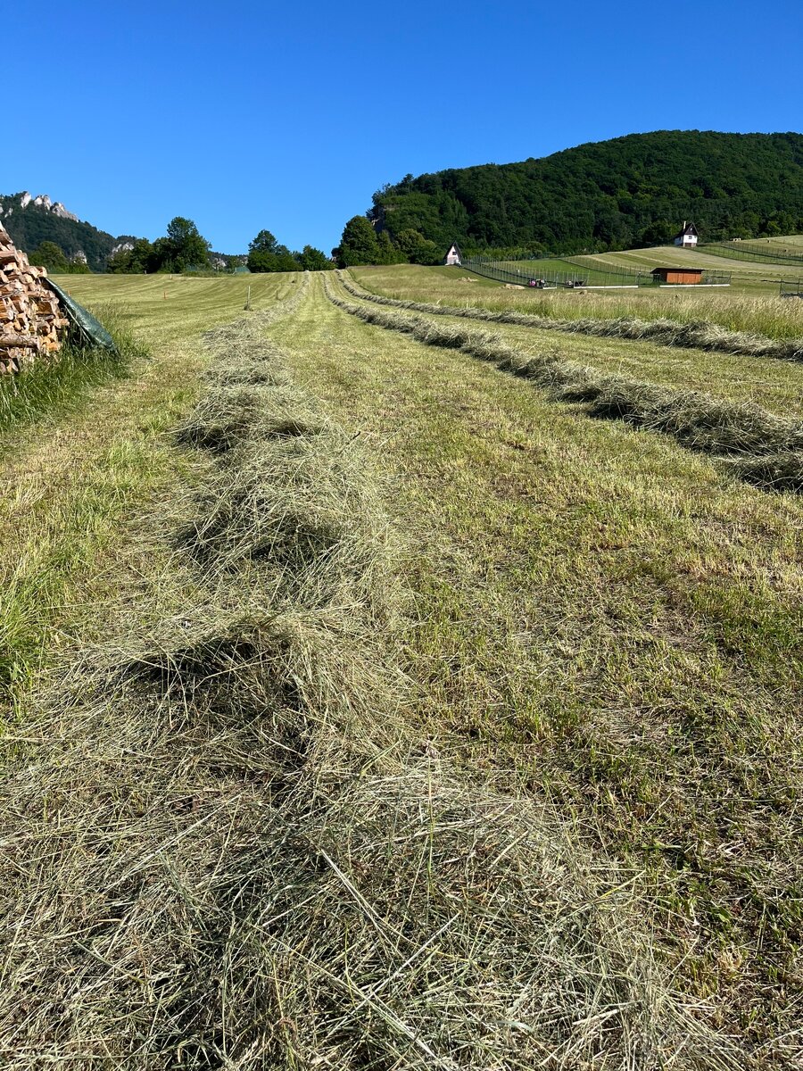 Predám balikovane seno
