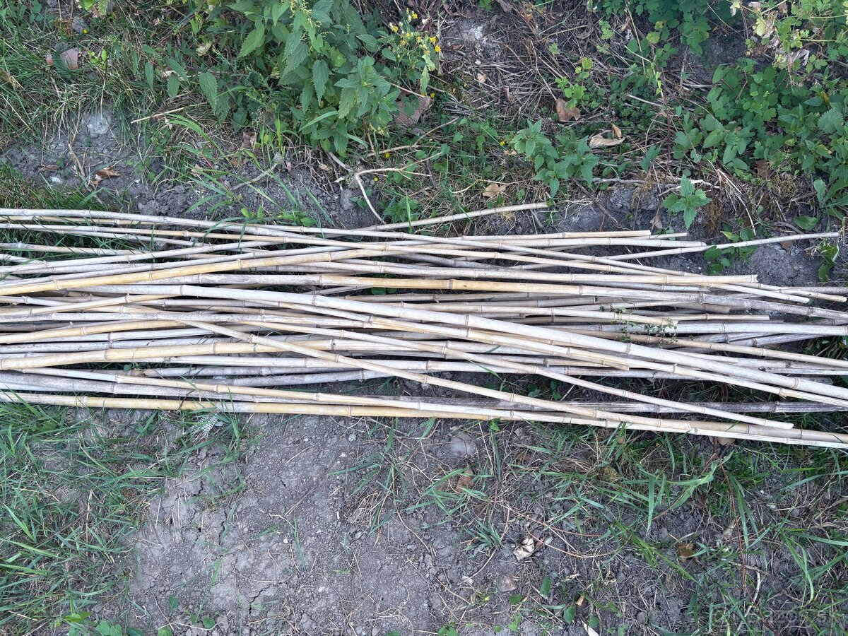 Predám bambusove tyče