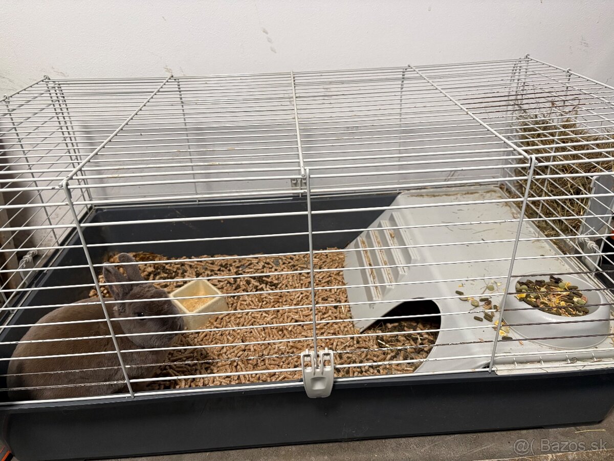Klietka pre králika
