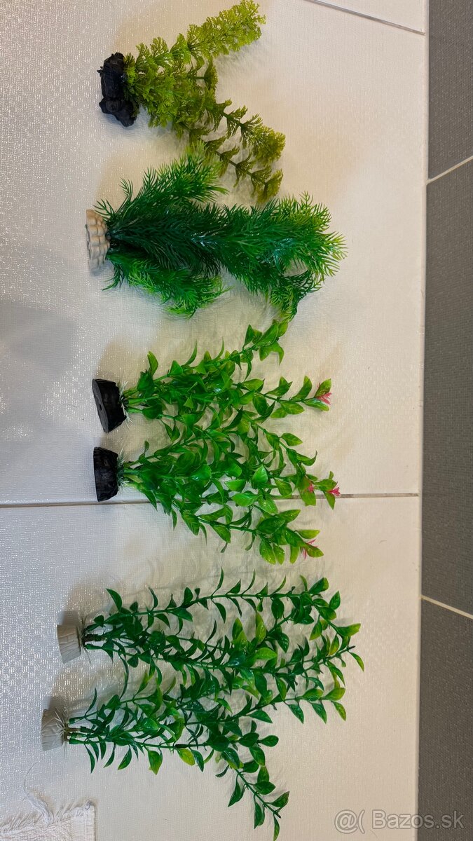 Rastlinky do akvária