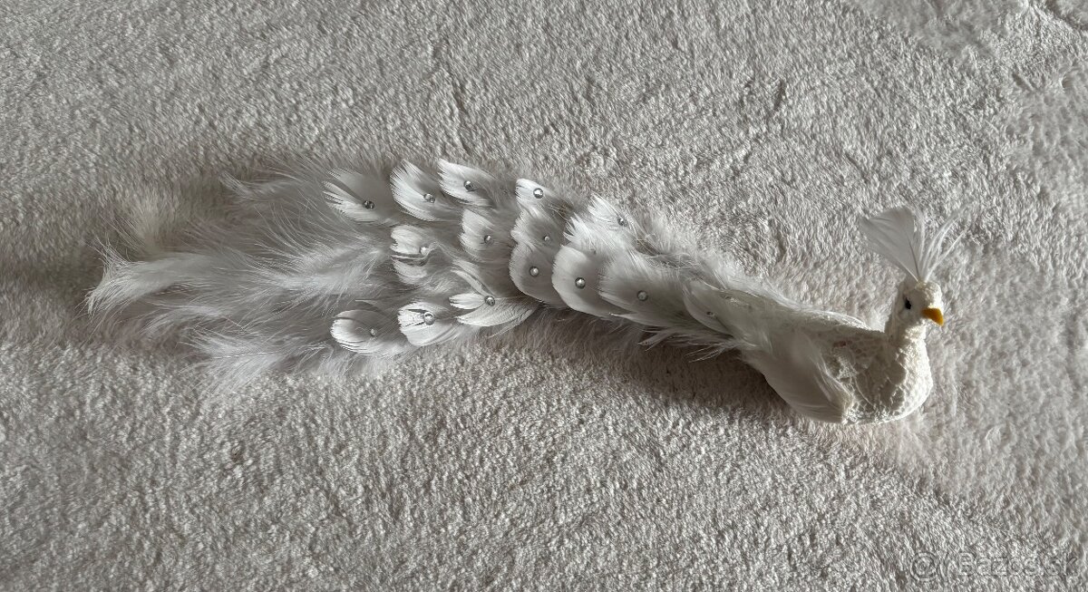 Luxusný biely páv s čipkou a pierkami – dekoračný, na klipse