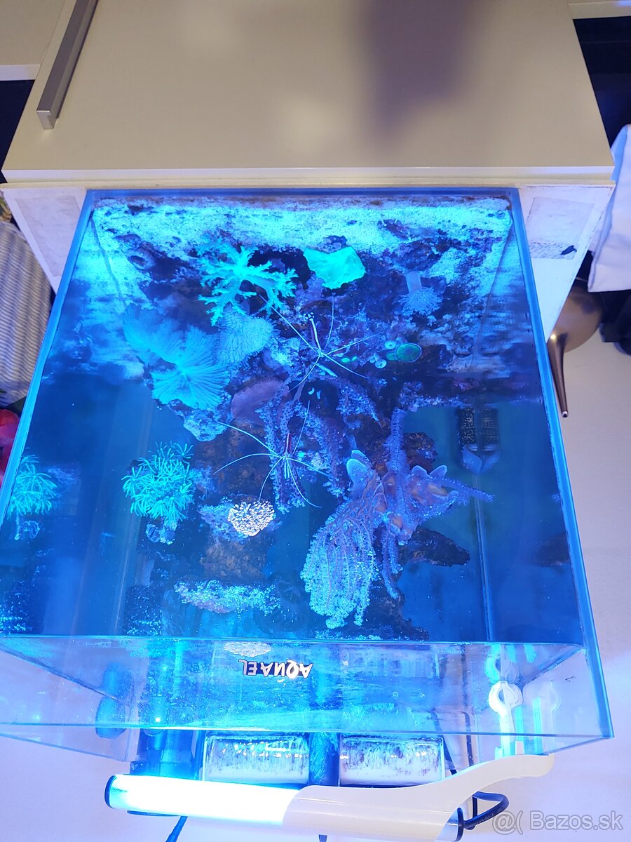 Morské akvarium 50L