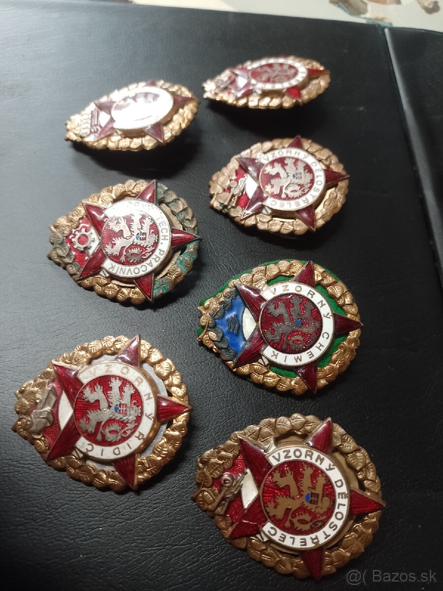 Vzorne odznaky
