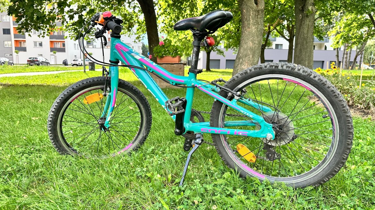 Detský bicykel Focus Reven rockie 20”