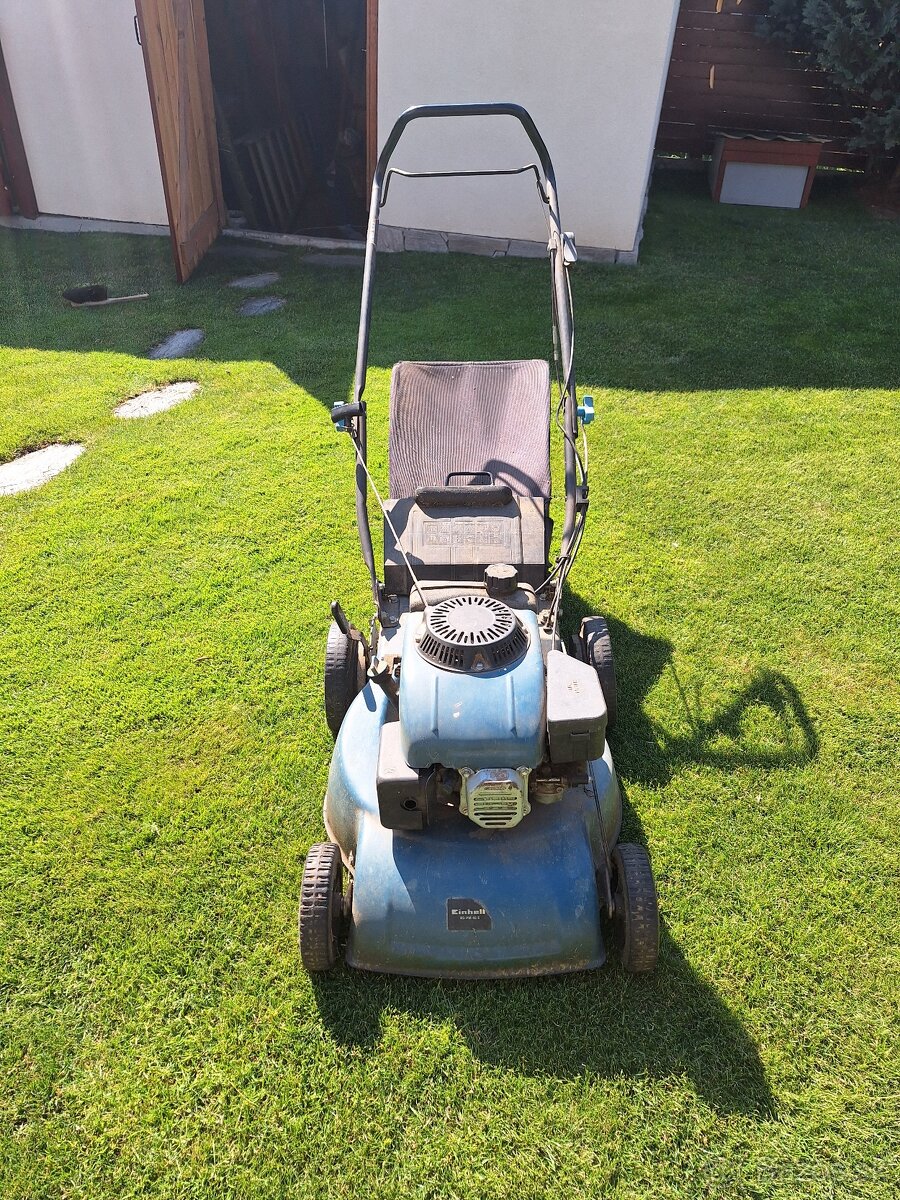 Predam kosacku 40€