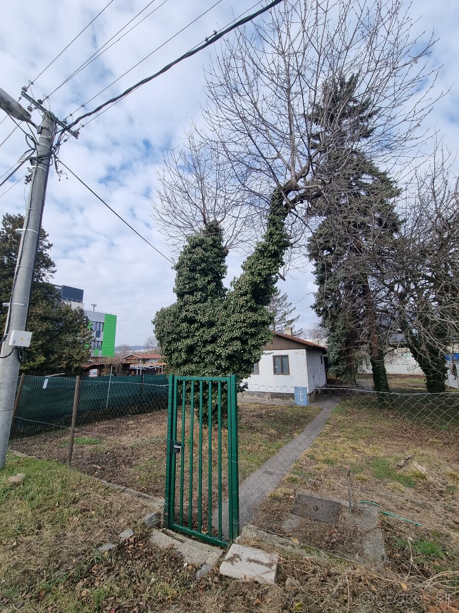 DARUJEM DREVO ZA ODVOZ