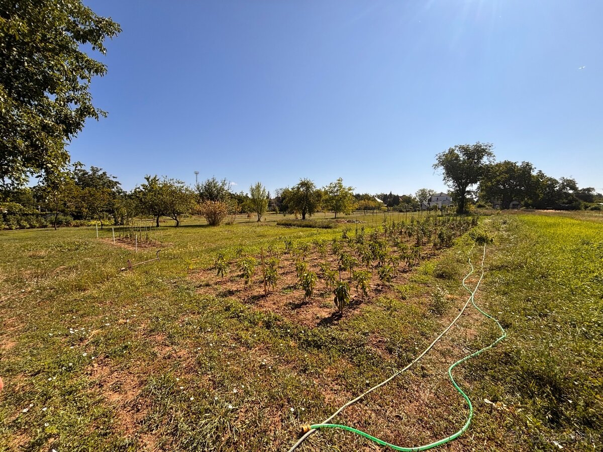 Pozemok vhodný na výstavbu rodinného domu v obci Žitavce