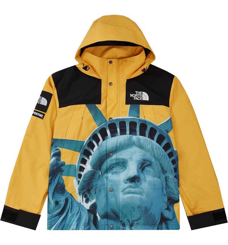 Supreme
x The North Face Mountain jacket