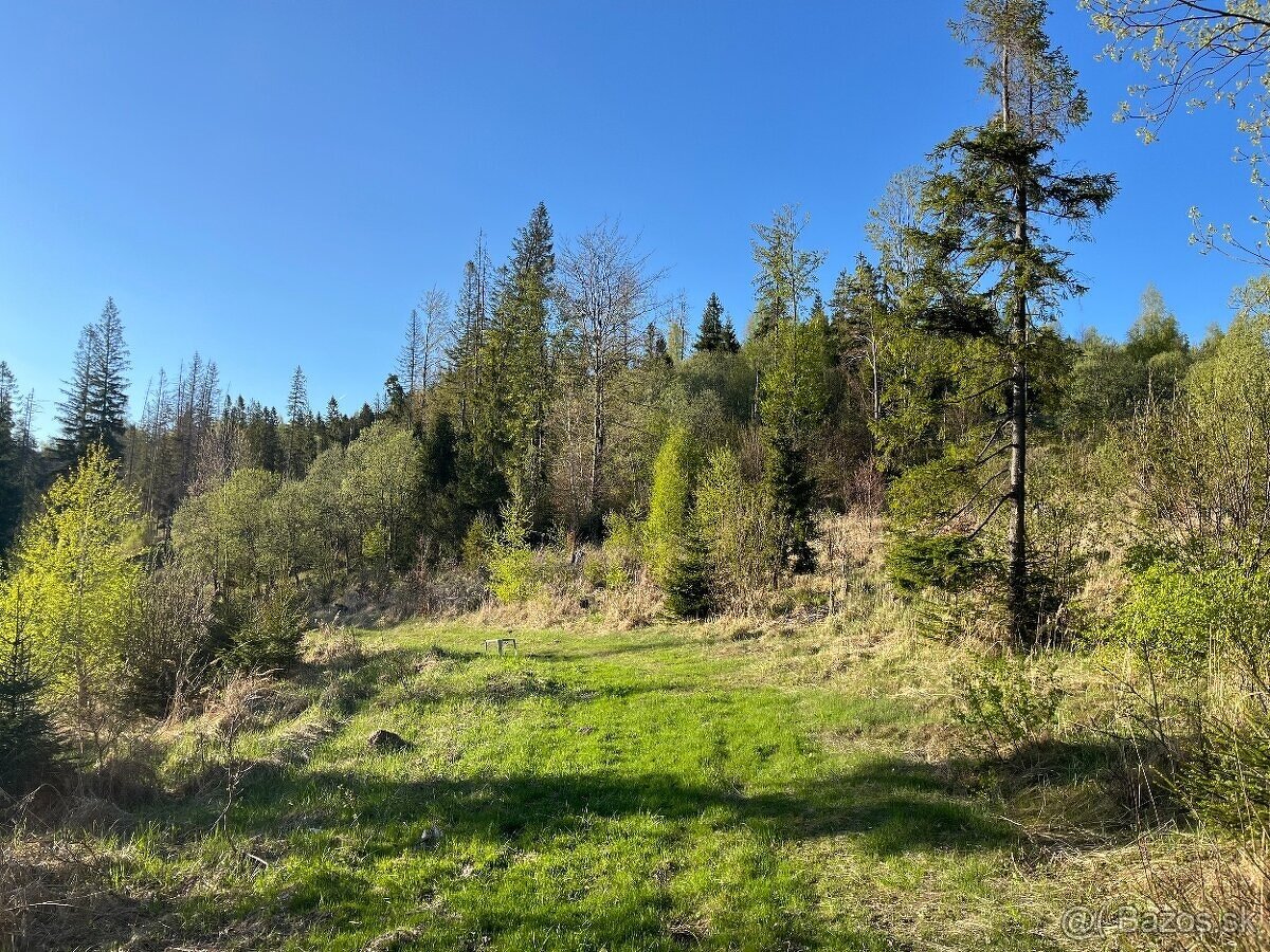 Pozemok