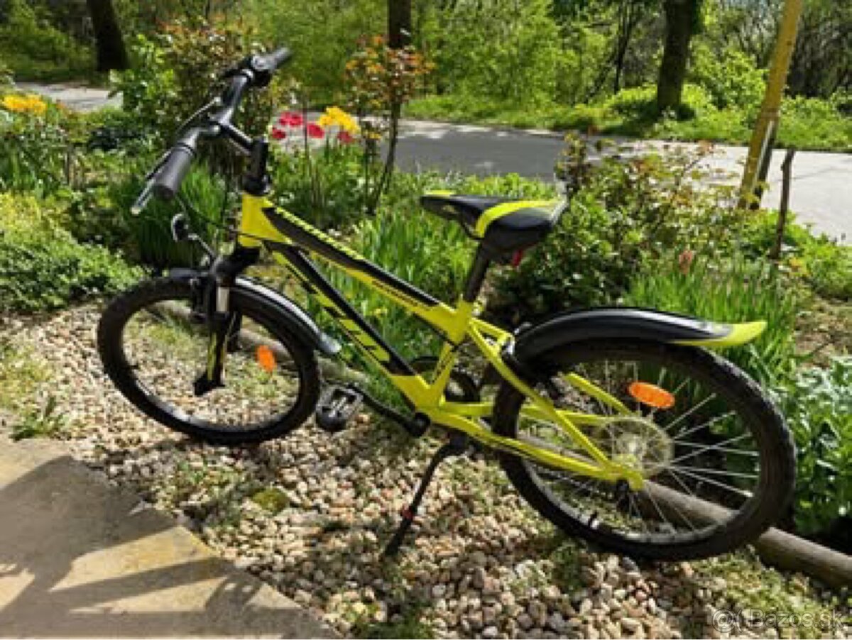 CTM Scoiby 3.0 16”