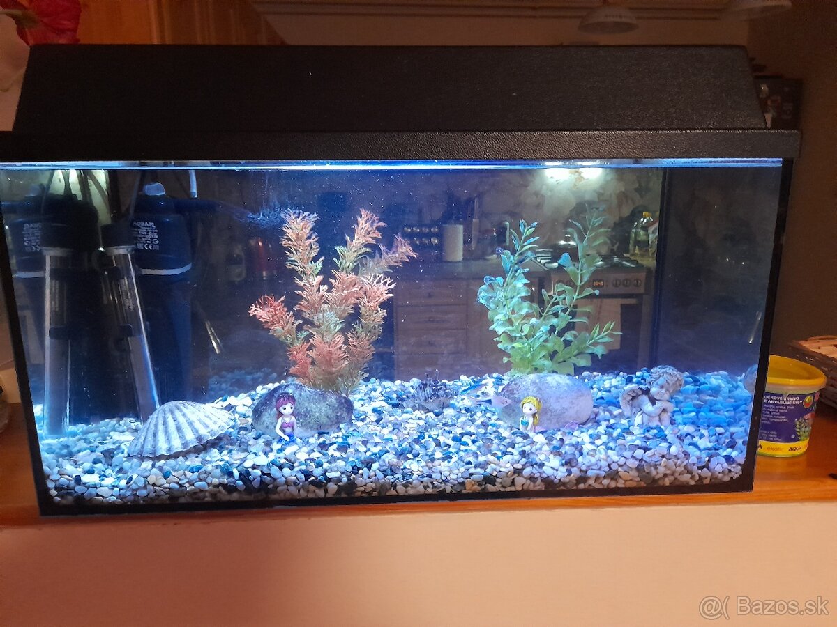 Akvarium