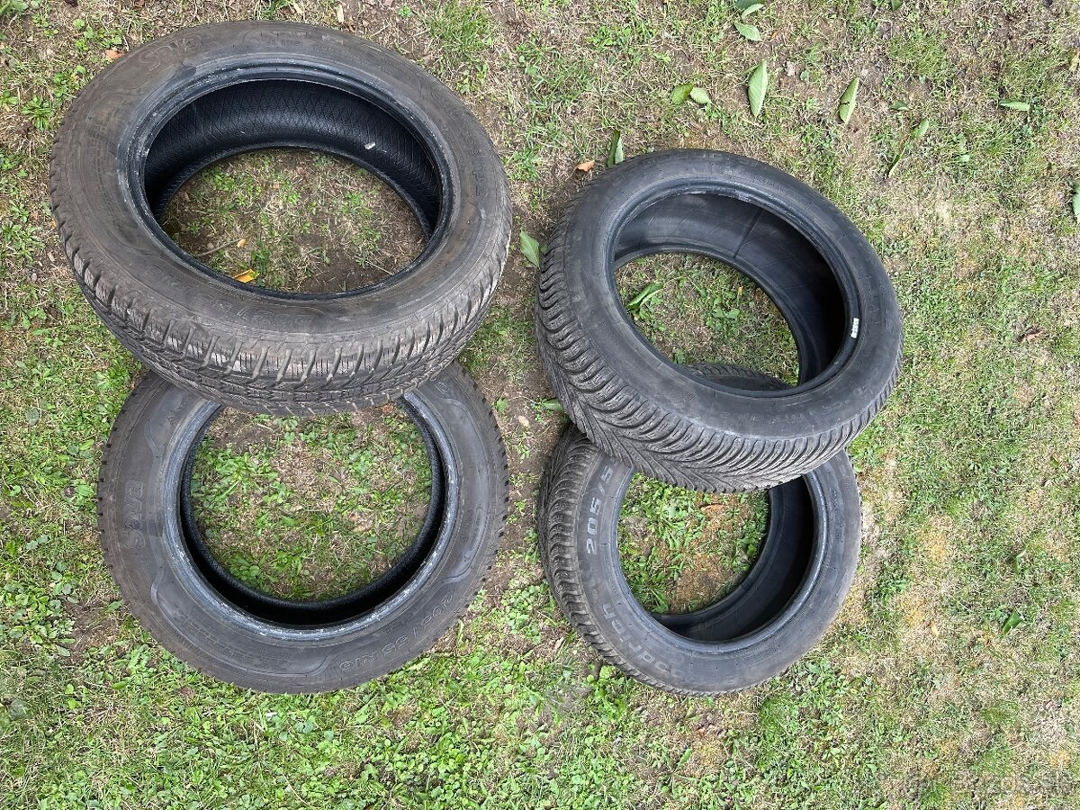 205/55 R16 zimne Sava + BFGoodrich