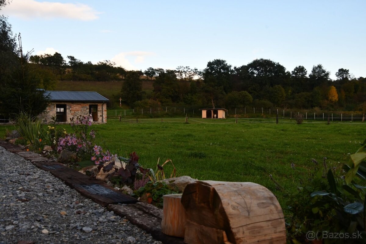 USTAJNENIE / JAZDENIE