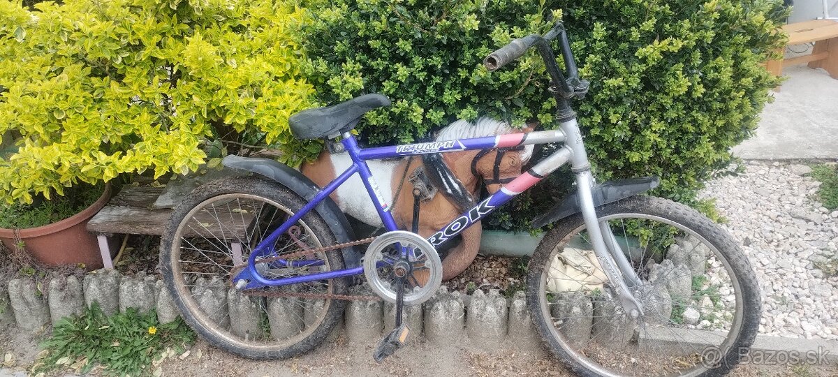 Horský bicykel