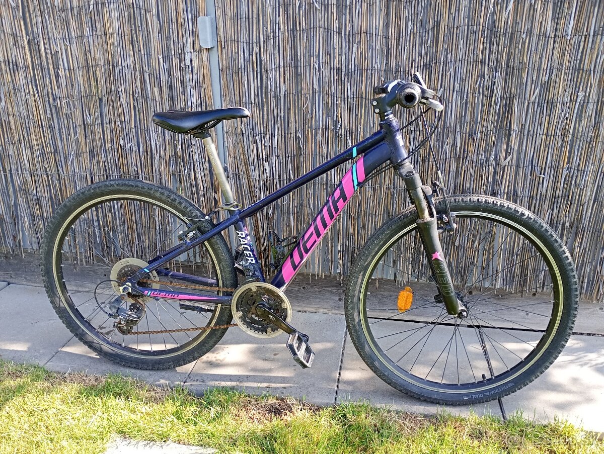 Bicykel Dema
