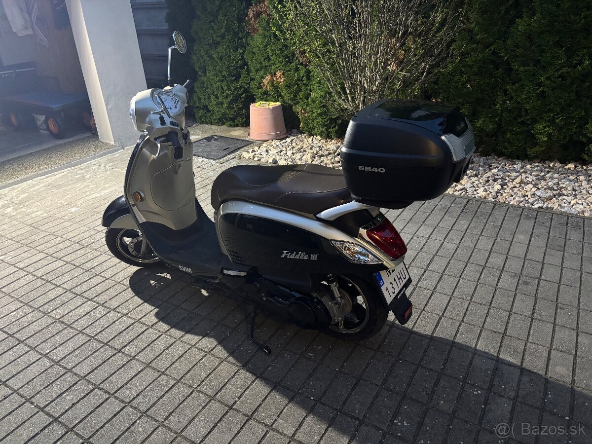 Sym fidlle 3 125 cm
