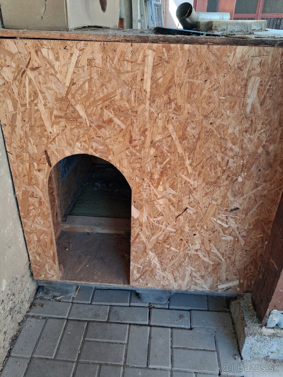 Búda pre psa