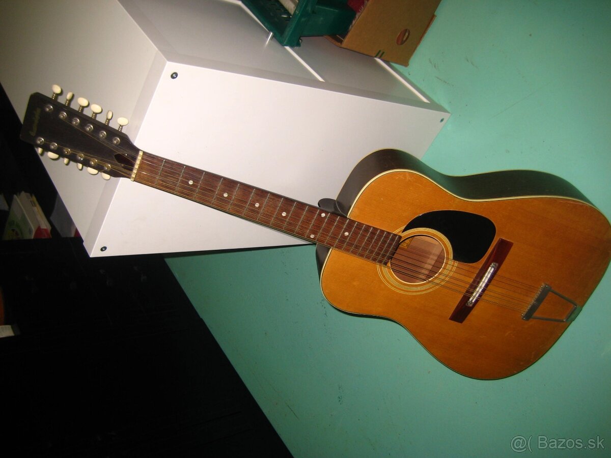 Gitara 12 strunova.